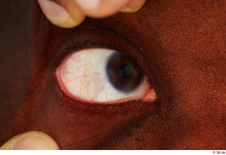 HD Eyes Jori Farmer eye eyelash iris pupil skin texture…
